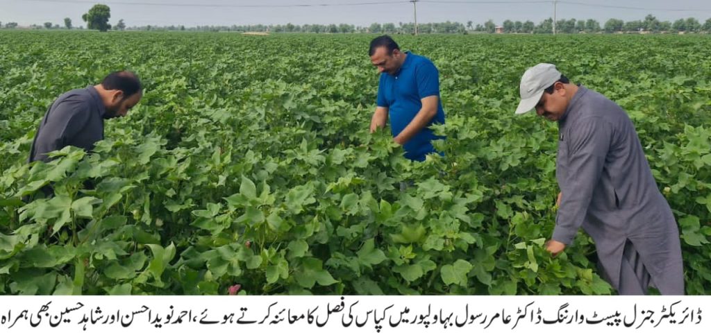 ڈائریکٹر جنرل پیسٹ وارننگ ڈاکٹر عامر رسول کابہاولپور کے مختلف علاقوں کا دورہ